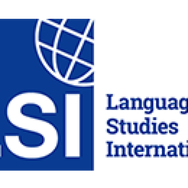 LSI-LOGO
